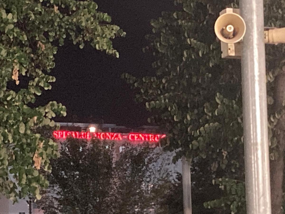 Royal Studio National Arena - Free Parking Bucarest Exterior foto