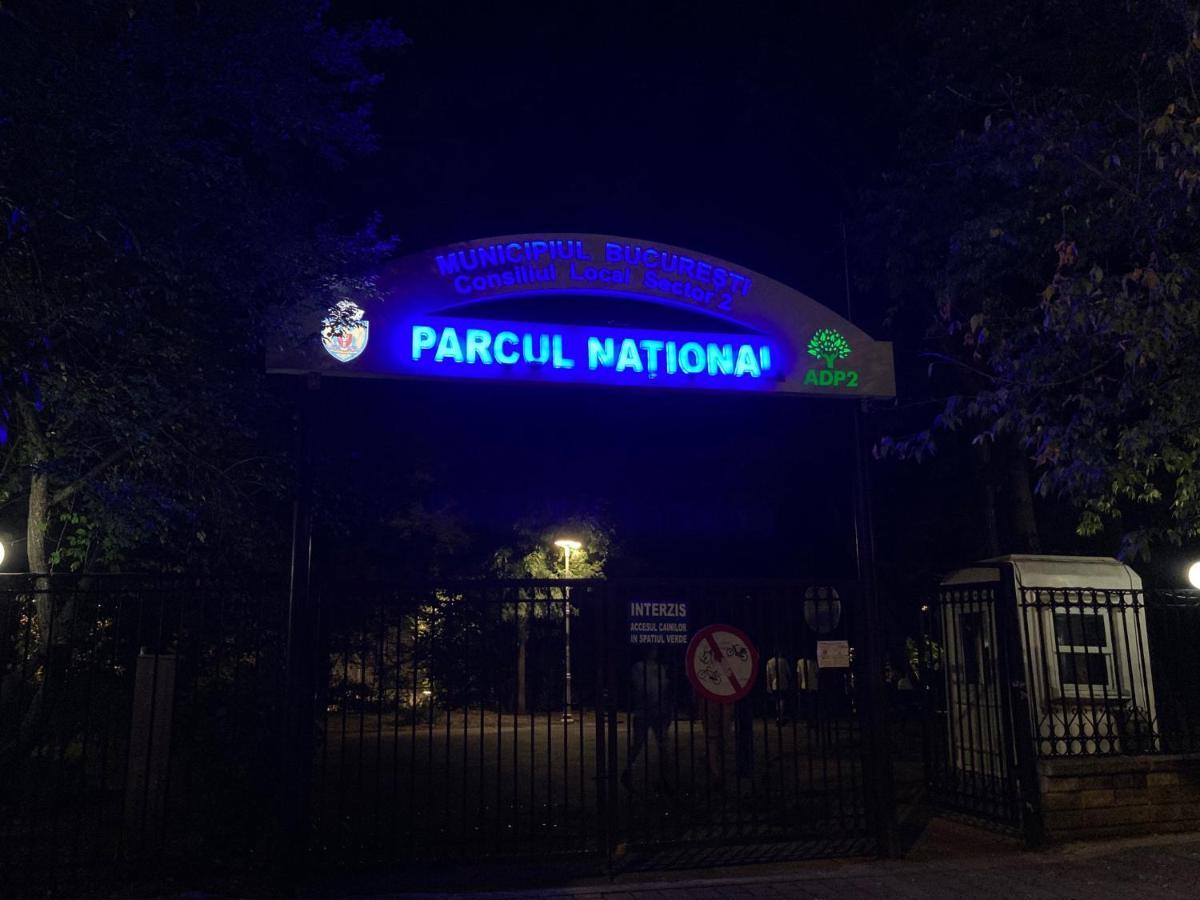 Royal Studio National Arena - Free Parking Bucarest Exterior foto